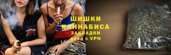дживик Верхний Тагил