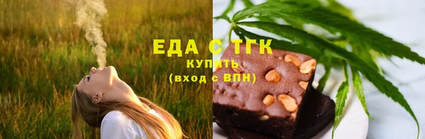 дживик Верхний Тагил
