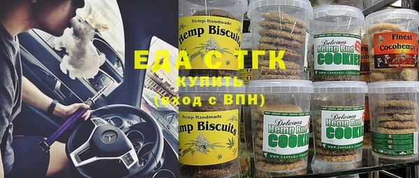 дживик Верхний Тагил