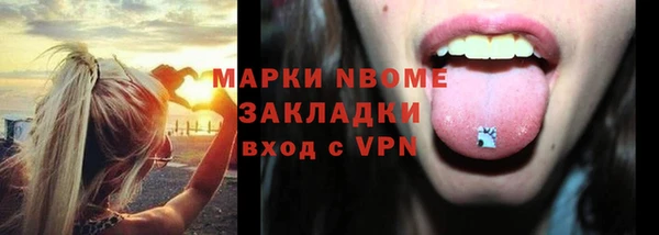 дживик Верхний Тагил